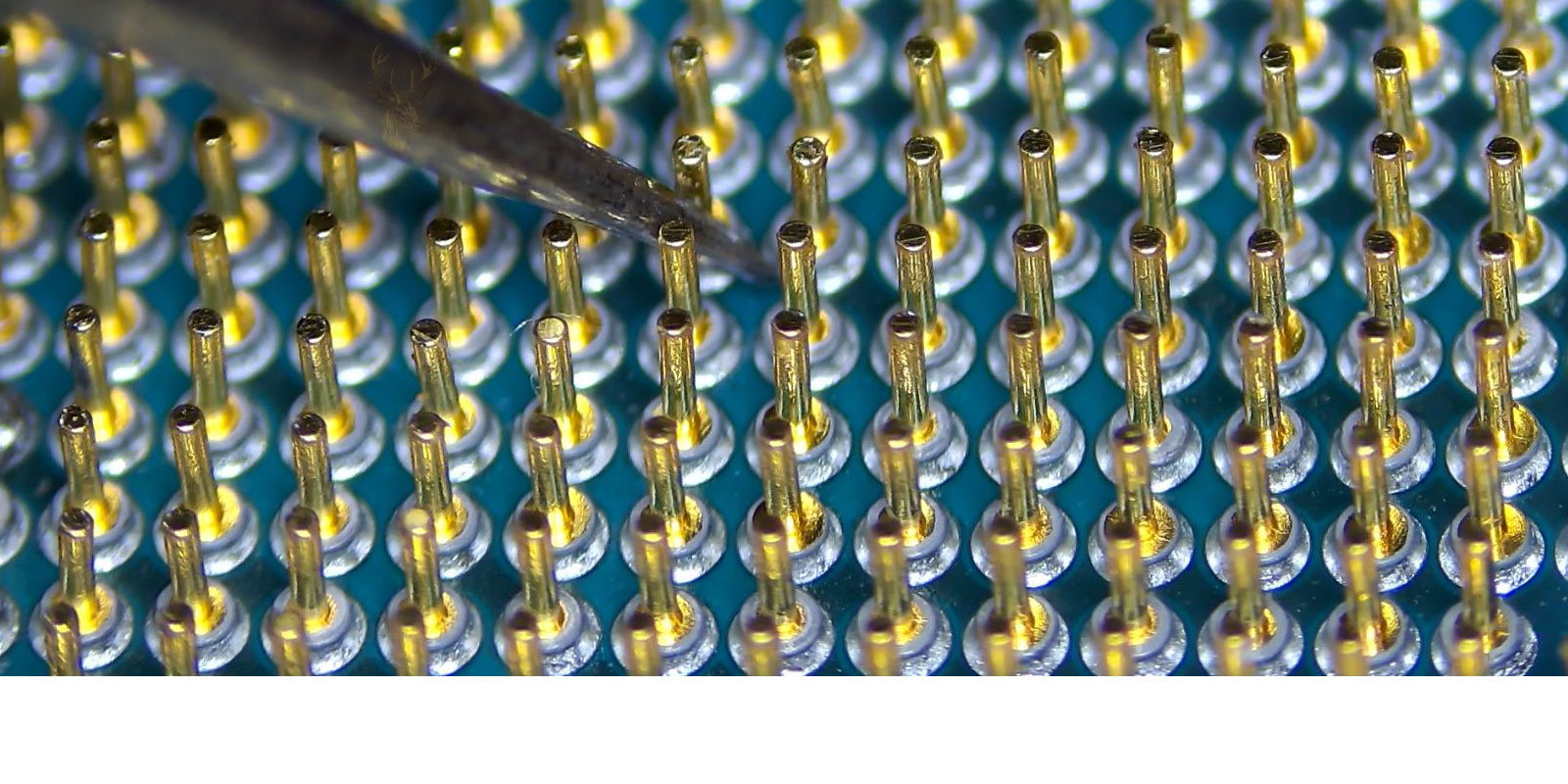 Close-up microscope view of an AMD Ryzen 9 3900X processor showing repaired CPU pins during precision electronics repair work.