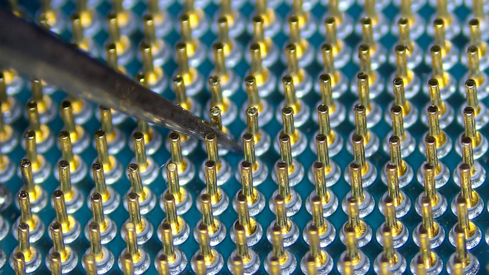 Close-up microscope view of an AMD Ryzen 9 3900X processor showing repaired CPU pins during precision electronics repair work.