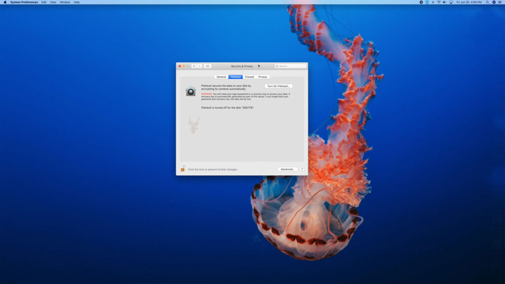 Mac Security & Privacy settings showing the FileVault tab with a message indicating that a login password or recovery key is required.