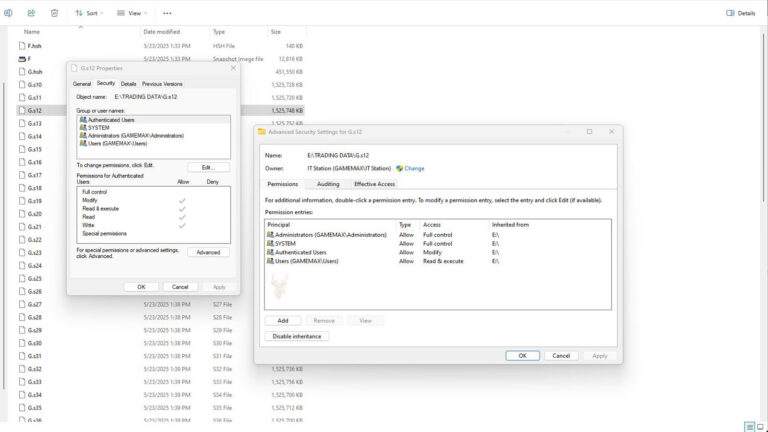 Windows file Properties showing the Security tab and Advanced Security Settings with users, groups, ownership, and NTFS permissions.