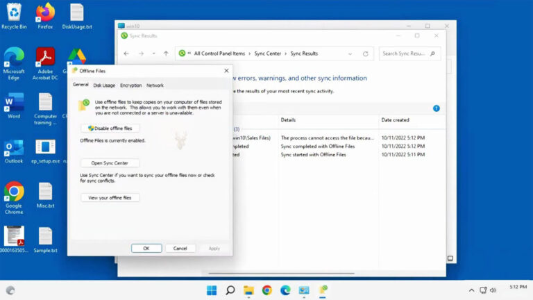 Windows Sync Center showing Offline Files enabled for access to shared network folders without an active connection.
