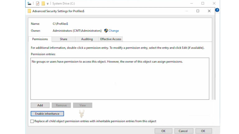 Advanced Security Settings window for a Windows roaming profile folder with permissions configured for user profile management.