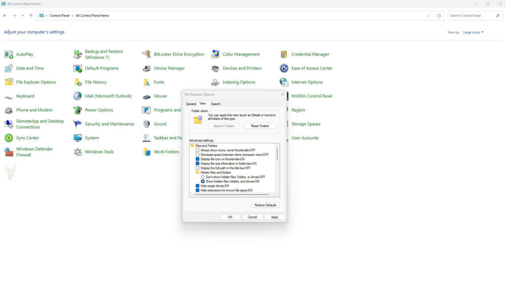 Windows File Explorer Options displaying the setting to show hidden files, folders, and drives.