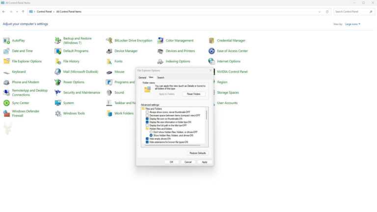 Windows File Explorer Options displaying the setting to show hidden files, folders, and drives.