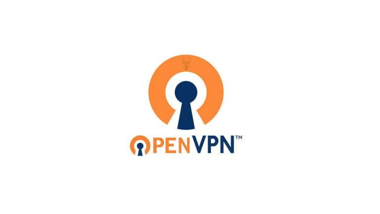 OpenVPN logo representing a VPN connection that is established but cannot access office files, servers, or shared network resources.