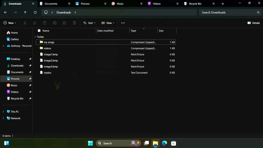 Windows File Explorer with multiple tabs open for Downloads, Documents, Pictures, Music, Videos, and the Recycle Bin.