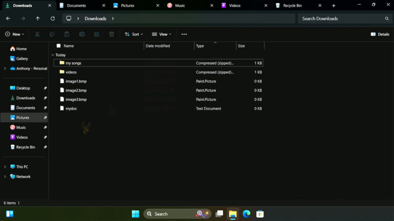 Windows File Explorer with multiple tabs open for Downloads, Documents, Pictures, Music, Videos, and the Recycle Bin.