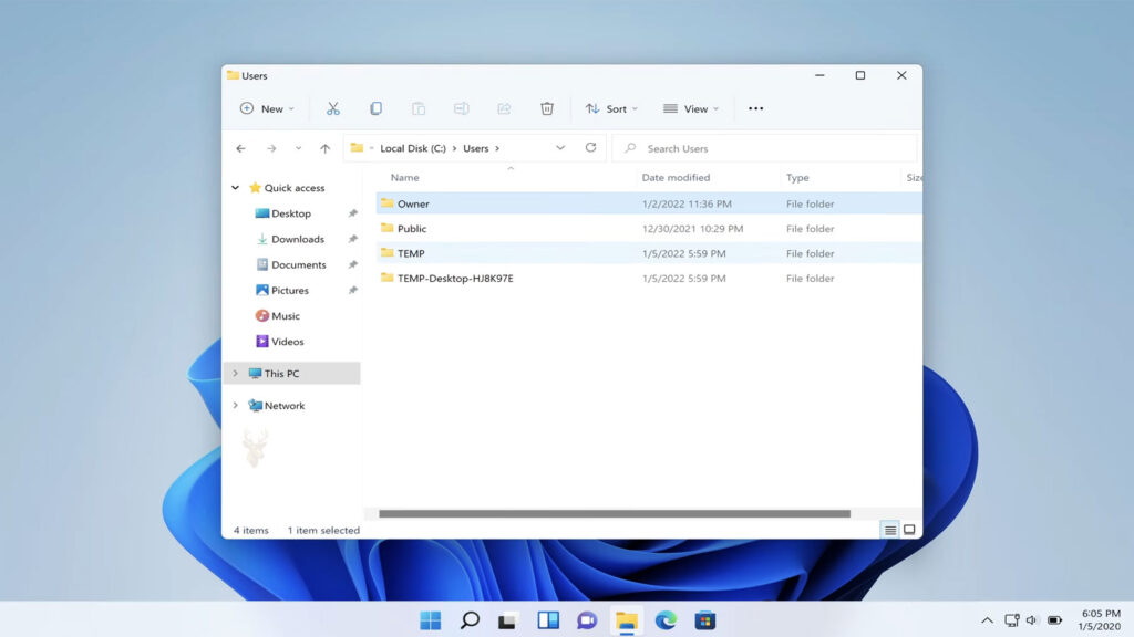 Windows Users folder showing Owner, Public, Temp, and numbered temporary profile folders after files appear missing at sign-in.