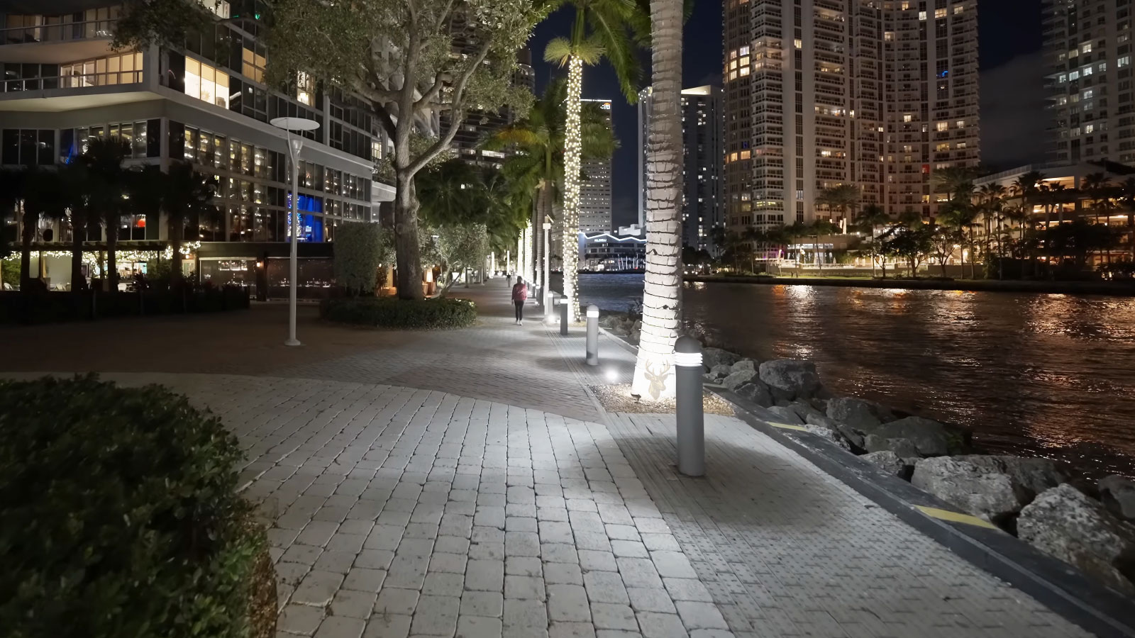Palm-lined waterfront promenade with illuminated high-rise buildings at night.