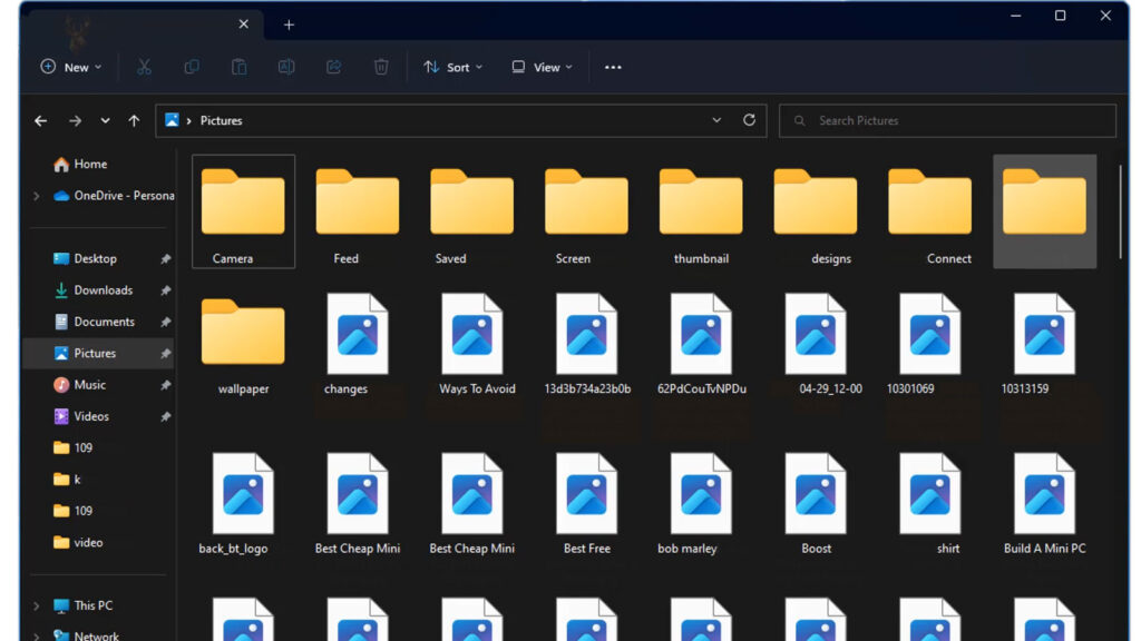 Windows File Explorer displaying a Pictures folder where image files appear without thumbnails or preview icons.