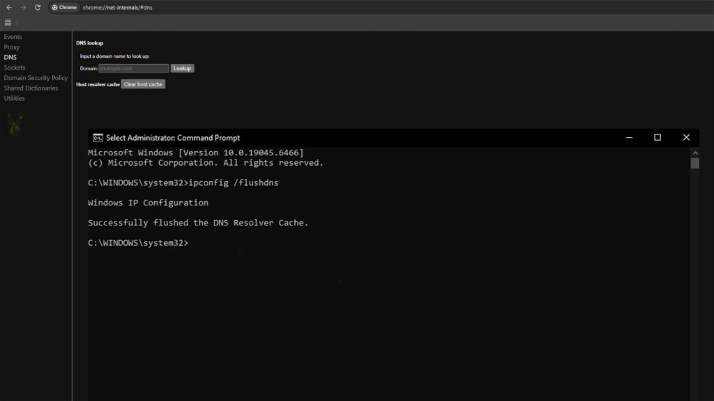 Google Chrome DNS settings and Command Prompt showing options to clear the browser host cache and flush the Windows DNS cache.