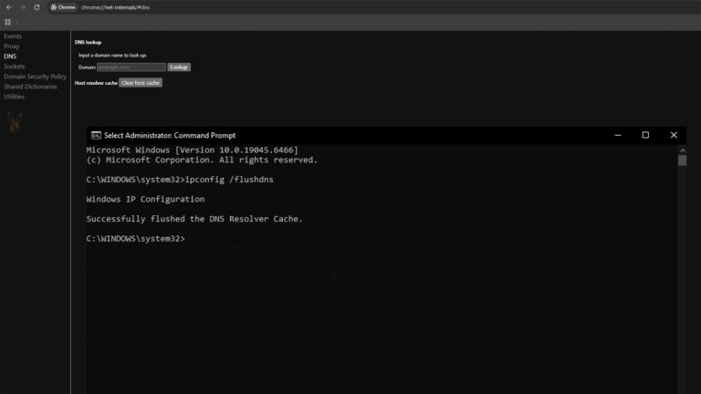 Google Chrome DNS settings and Command Prompt showing options to clear the browser host cache and flush the Windows DNS cache.
