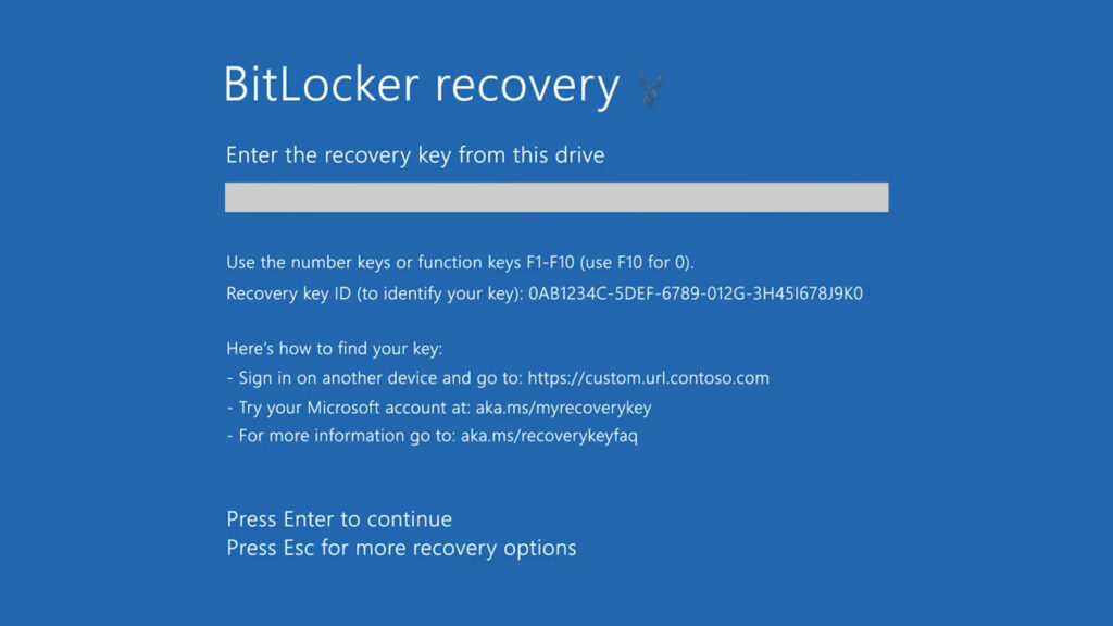 Windows BitLocker Recovery screen prompting for the recovery key to unlock an encrypted drive during startup.